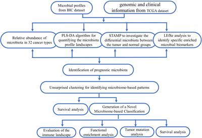 Comprehensive analysis of microbiota signature across 32 cancer types